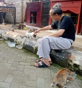Tatkala Kucing Kucing Itu Memelas Karena Lapar